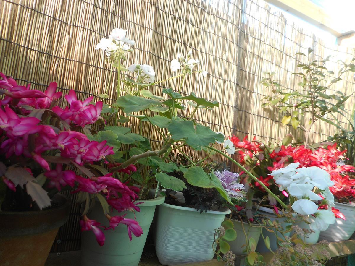 Jgh Tokyo Hostel Kawaguchi  Esterno foto