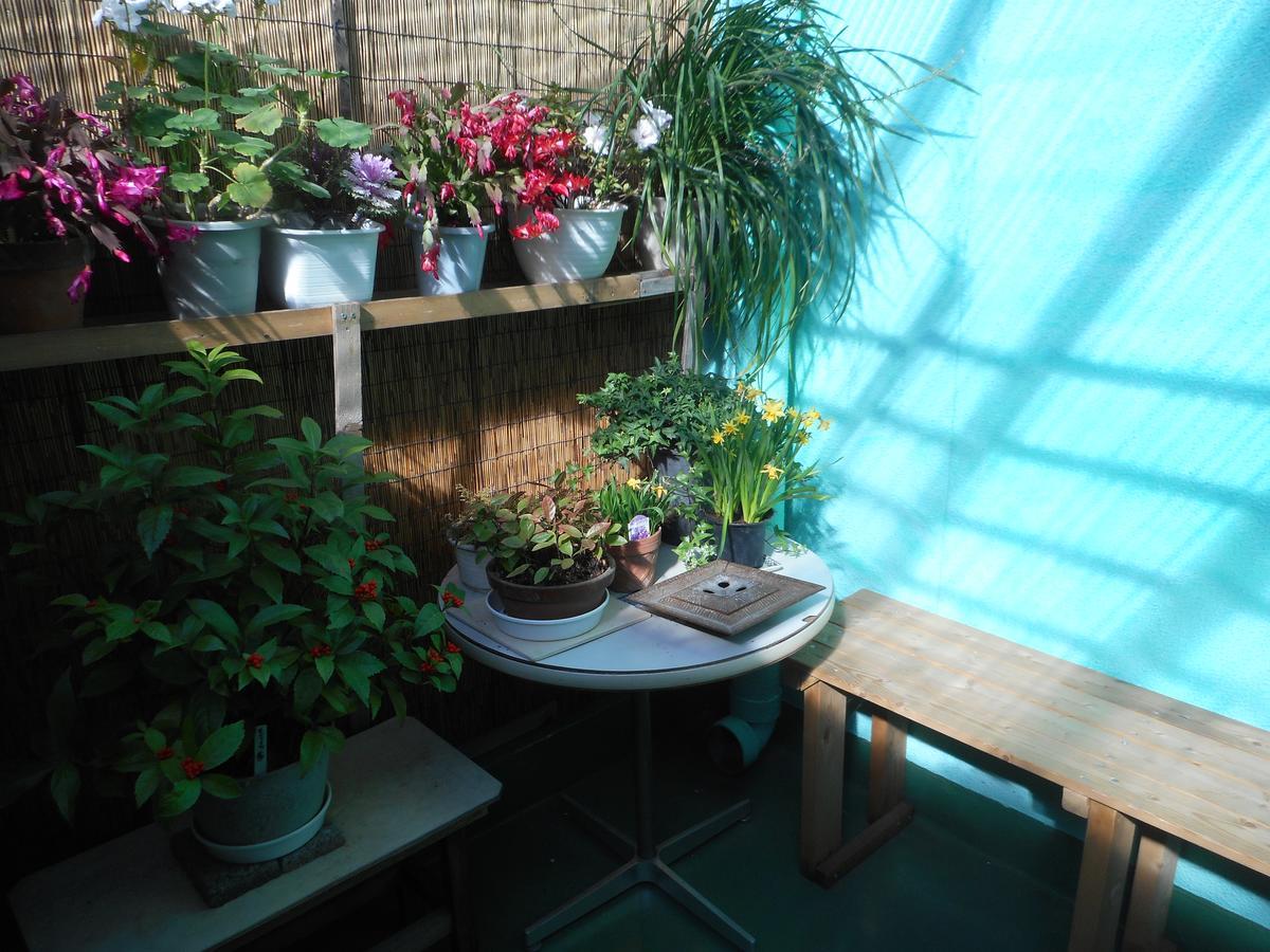 Jgh Tokyo Hostel Kawaguchi  Esterno foto