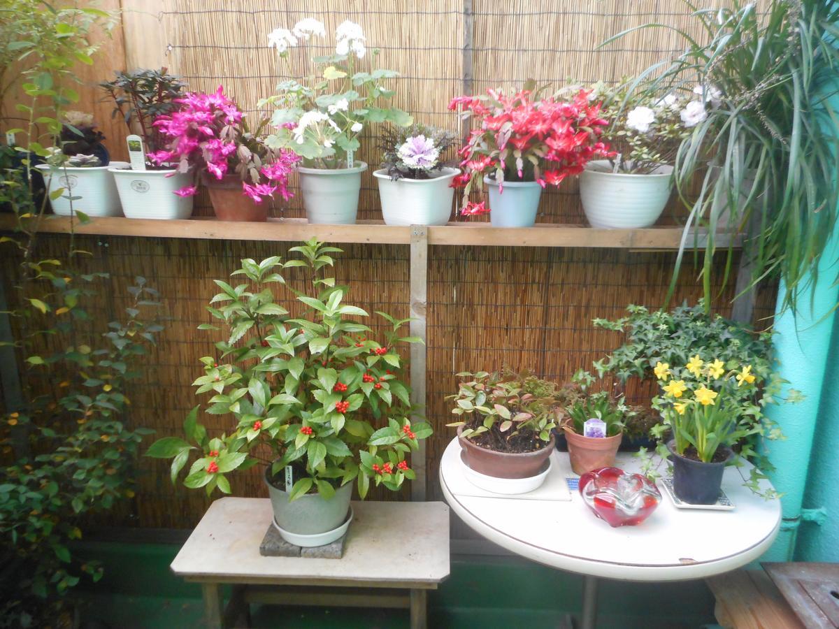 Jgh Tokyo Hostel Kawaguchi  Esterno foto